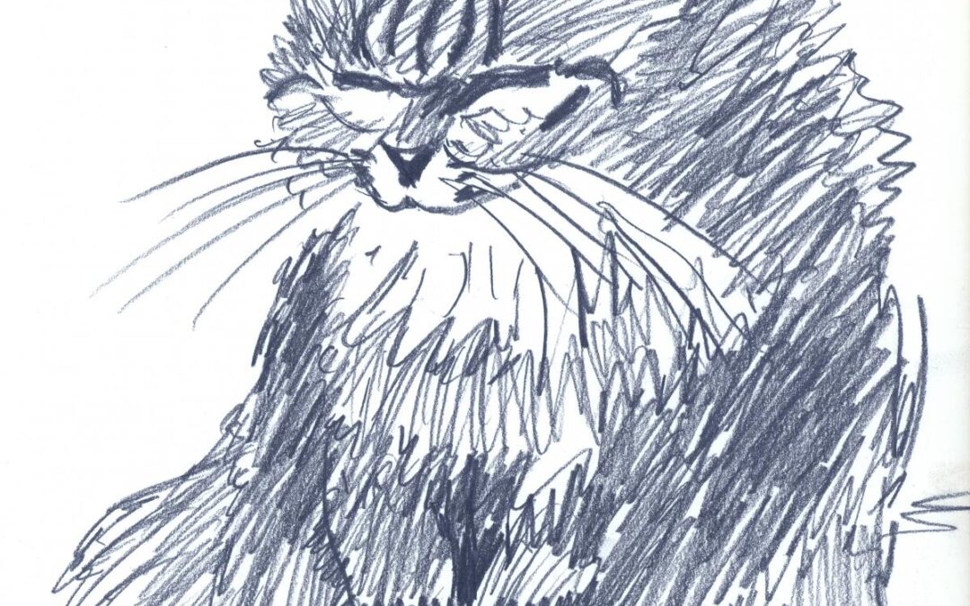 Mim Bluer – drawing of a cat