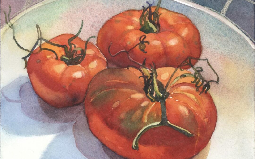 Ripening Tomato Trio - watercolor still life painting by Frank Costantino