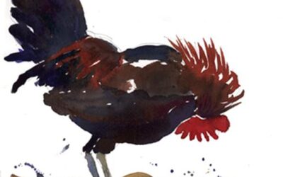 Rooster – watercolor painting of rooster in Key West