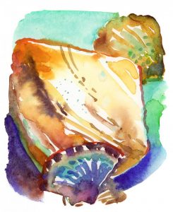 Shapes and Colors from the Ocean - watercolor painting of sea shells by Frank Costantino