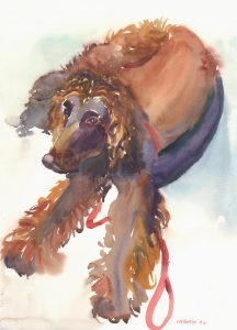 Studied Response - Roxcy's Hooper - watercolor painting of dog by Frank Costantino