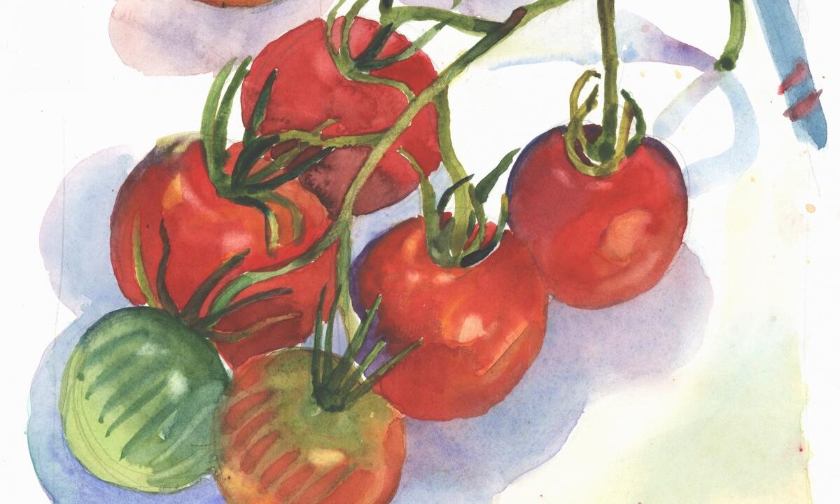 Almost All Red Tomato Cluster - Frank M. Costantino