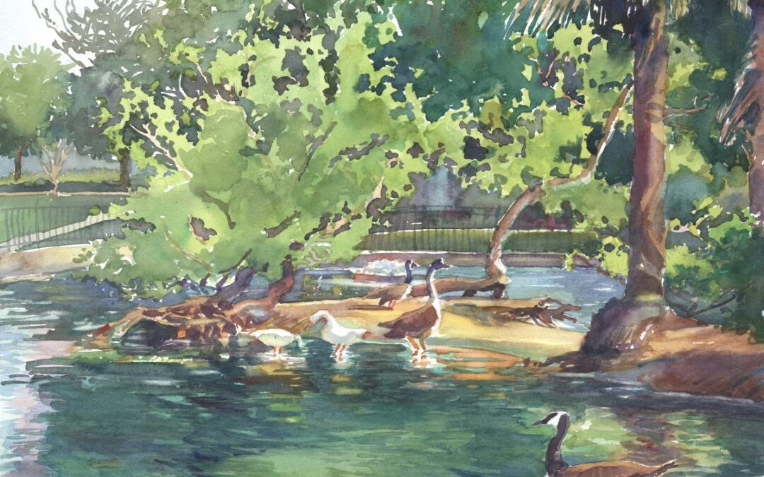 Bird's Little Acre - en plein air watercolor painting of geese on the water by Frank Costantino