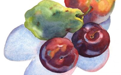 Fruit Casts Shadows Too -watercolor still life painting
