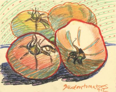 Garden Tomatoes II - oil pastel still life drawing by Frank Costantino