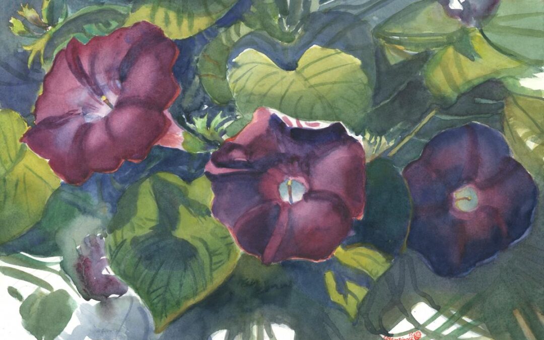 Glories' Brief Etude - watercolor floral painting by Frank Costantino