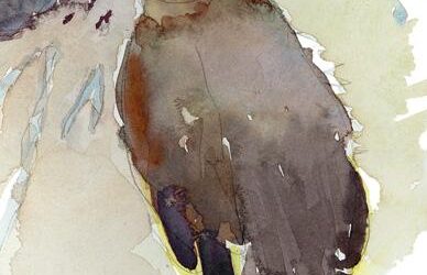 Orphan Swallow – watercolor painting of bird