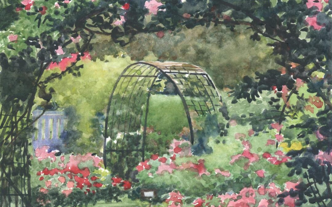 Roses Morning Rondo -en plein air watercolor landscape floral painting by Frank Costantino