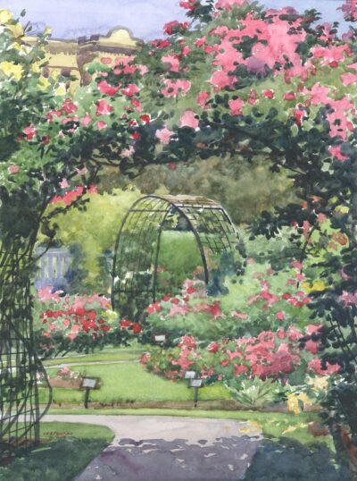 Roses Morning Rondo -en plein air watercolor landscape floral painting by Frank Costantino