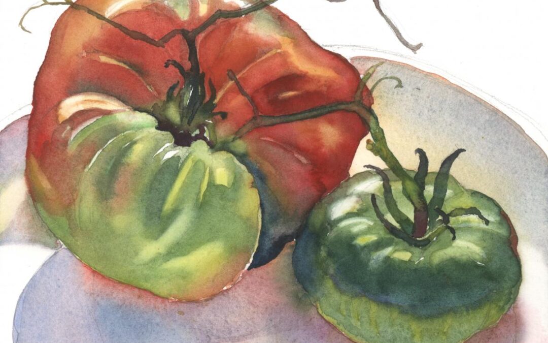 Season's Last Tomatoes - watercolor still life painting by Frank Costantino