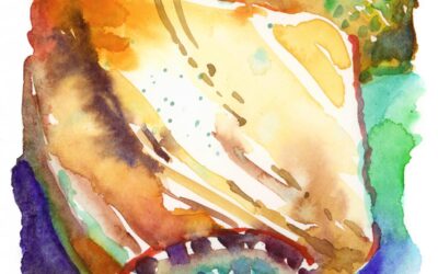 Shapes and Colors from the Ocean – watercolor painting of sea shells
