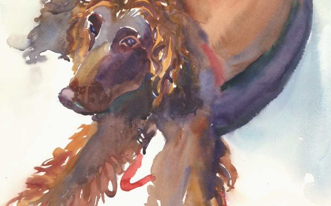 Studied Response – Roxcy’s Hooper – watercolor painting of dog