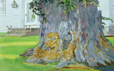 Nature & Man, Elm On Spring Street – en plein air watercolor landscape painting with tree