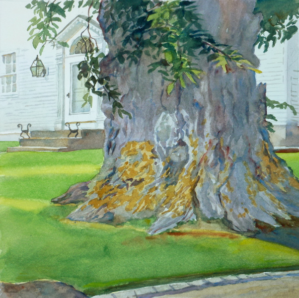Nature & Man, Elm On Spring Street – en plein air watercolor landscape painting with tree